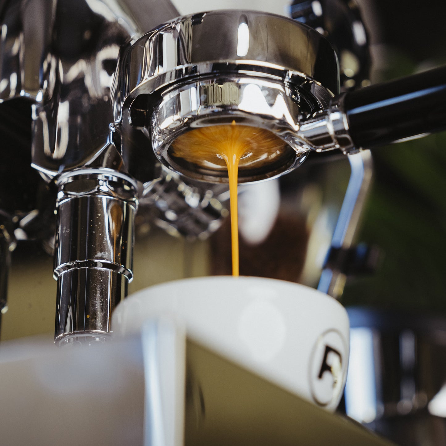 Home Barista Workshop - Espresso & Milk