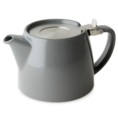 2 Cup Loose Tea Infuser Teapot