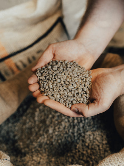 Roasting Experience Day Masterclass